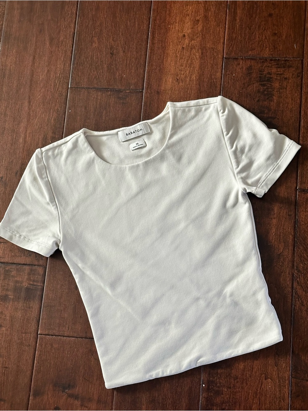 Aritzia Babaton Short Sleeve Crewneck Tee